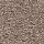 Aladdin Carpet: Treasure Valley Mesquite Chip